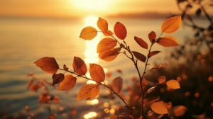 �����@���죬�����ץ�oϴ��