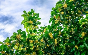 �z���S�ģ�һ������⣡�M�ǹ���