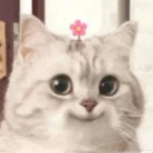 �Ҷ���ʮ���q�ˣ���ϲ�g������̣��������������ҵ��옷�������˵�����̫���s��