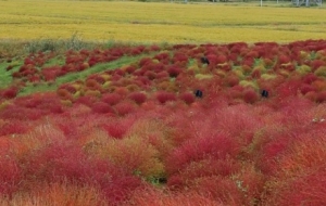 �򿨟o�a�����ĵ��w�ݻ�����Ψ����Ԋ �ڴ���s