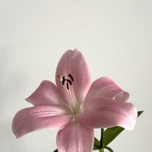 �W(w��ng)�ѷ������ڄ�(d��ng)�B(t��i)������⣡�����������ː�(��i)