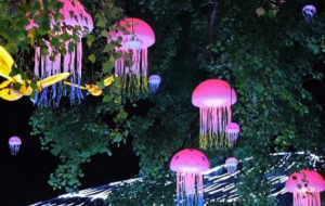 ҹɫ�е�÷�@��Ϫ��һ��(ch��ng)���x(ch��ng)����(gu��)��ҕ�X(ju��)ʢ�縡�F(xi��n)��ǰ