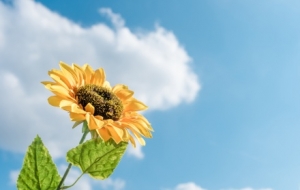 ������26�棡��һ���_�L����