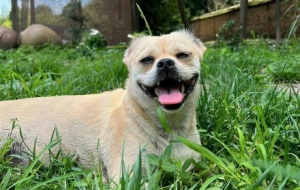 �r(n��ng)�ҹ⾰���箋�������������l(xi��ng)��