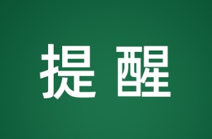 ��悹���202��203��205��315·��������