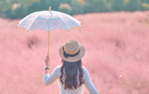 ���ķ��컨��������ͯԒ����