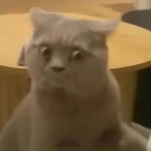 ����Ϣ����ꎾ�Ȼ�м��L�u�޵��@�N�̶ȣ����Л]���þ͌������ٸ�����