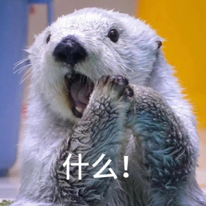 ���Ӹ����������c�ң�������ϴ󌣣�߀Ҫ��Ҫ���ˣ�