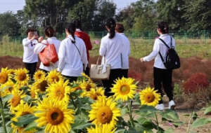 �o�a�@Ƭ���տ��_���ˣ����̂�����Úg��~