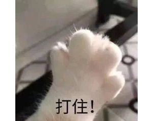 ���������W(xu��)У���޺͇��H�W(xu��)У��ֶ�ӣ������cС���|