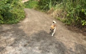 ������@�������l(xi��ng)������(ji��)�������