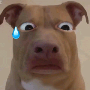 M���T���_�I��ɽķҪ��������ˣ��@���н���Ԍ�����