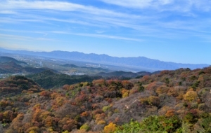 �z�ѷ����������L�ǣ��I���ۜ��c�����Ľ���