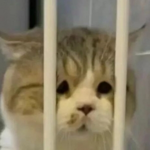 �쯂�ˣ��ⷿ���x�l�F܇�졢�ǵ��д������飬���|Ҳ���ܣ���������һ��Ƭ����