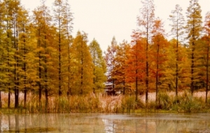 �ղأ�����@Щ�^���򿨵ء�