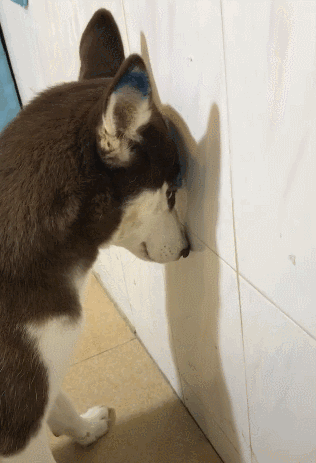 2�q���С���fԒ���~������������°������׃��@���ғ����ώ� ��������Ԓ