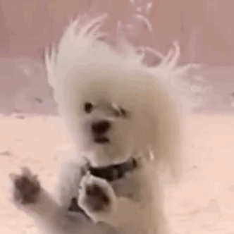 ���г��������F(xi��n)�ڵ��a(b��)�X����Ʒ���m��ǧ���ǲ������̶��������]�ԃr�ȸߵ�