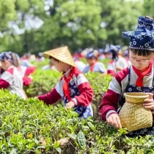 ��ꎣ�ȫ���h������ُ��ڶ���