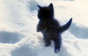 �נ���ѩ��һ���������������ˣ����ò���Ԓ