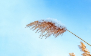 ���L���󣡽��؈�棡��՚�Ӱ푽��