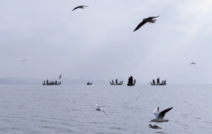 ��;�L���S�ģ����w�����������Ȼ