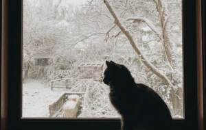 �S�Ĝ�ܰ�r�̣�؈؈��ѩ��ϲ���S��