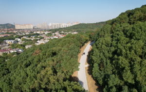 �򿨶�ɽͽ��·��������