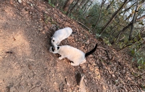 �S���ģ���ɽż��С؈���̕����˾��ܾS�ֺܾõ��_��