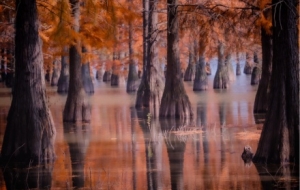 �R�^�µĹ�Ӱˇ�g��һ�������˵Į��������y��