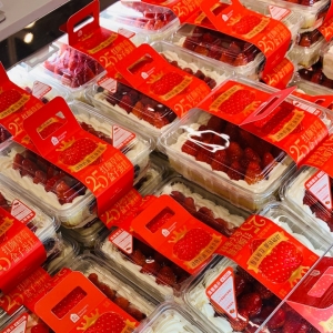 ���ں��R�r��ԇ�I�I����ȥ܈܈�[æ�����ʺޣ����ɶ�r��Ҳ����