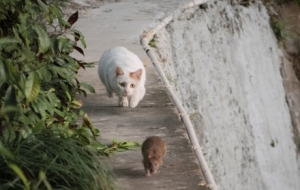 ·߅�ĵ�؈׷����������׷������y�w