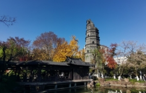 �����d���@����ǰһ�����I(l��ng)�Խ������