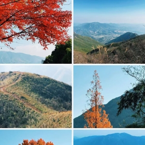 һ��һ����֨����֪ƣ��ط�Խÿһ��ɽ��