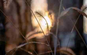 ������Ĺ�β�Ͳ�����һ�z�󏊵Ě�Ϣ