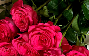 ������ƽ����Ҳ��������������ҲҪ�옷��