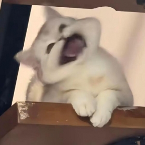 �L늸�6��Ҳ�㰾���^�ˣ��mȻ���ܸ���Щ��н�^�f���˱�����һ�꿂���Y10�f���^Ҳ���e