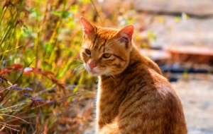 �]؈�Õr(sh��)��(ji��)���z�����R�^ӛ��Ȼ����ĵ�������