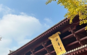 �������A�����������o�k֮�����������`