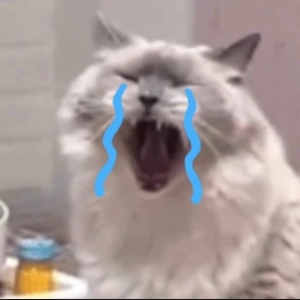 ��һ�δ���ֵ�࣡ �s�������^�����ƺȲ��Ԋ��Ԙ���