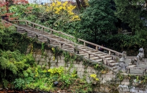 ̽���K�ݻ������Ȫ���h(yu��n)�x�o(w��)Ȥ�c����