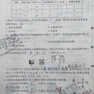 �F��С�W�����������Ҫԭ���}Ŀ׃̫�y�����󲿷��}Ŀ����һ����һ��