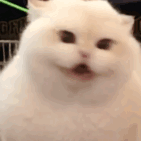 �����r������긣�������X�Ĵ���o60�q��������ÿ�˰l��3000����������ʲô������