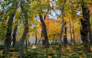 ͽ���Ĉ@�֣��S�G���e�Ę��~��ץס����ÿһ˲�g