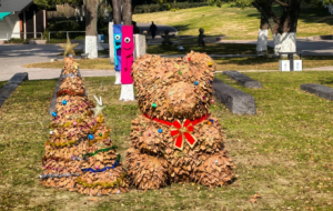 �Sɽ�����@�S���S�ģ���ľ�����£���ů�^��