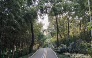 ���ɽͽ���S�ģ�һ��������������@ϲ