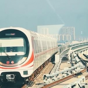 �����F���o�a�����֕�(hu��)������ɽ���(zh��n)�˔D�˺ß��[