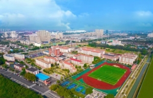 ����Ќ���������