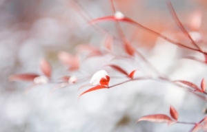 �E���������Ո���Üʂ�...