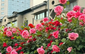 �ز�ס�ˣ���������׌��Ų���_�ۣ��~���_��