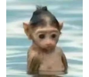 �����y�ܣ��ɿ������λ����ӽ��|�ף������v������߀�� ����ô�������